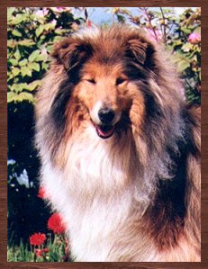 Légende Occitane d'Akernar Dénébola