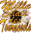 Mille Eclats des Tournesols