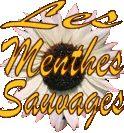 Les Menthes Sauvages