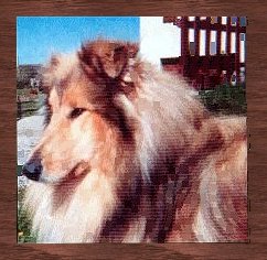 VOIR PEDIGREE