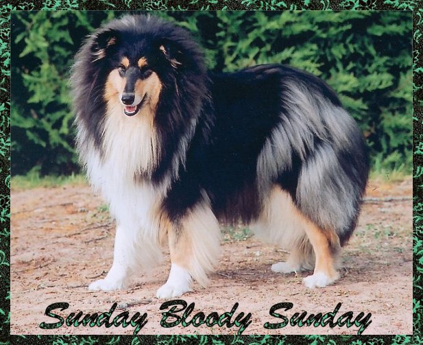 Sunday Bloody Sunday of For Ever Young